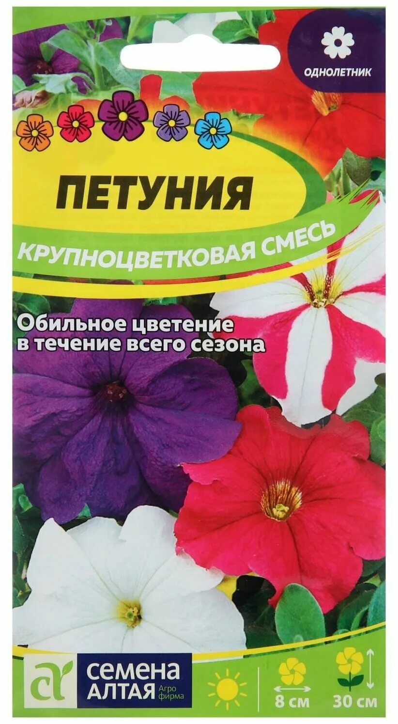 Петуния лимбо f1 крупноцветковая, смесь окрасок. Крупноцветковая смесь. Петуния крупноцветковая смесь 0,1гр. Примула бесстебельная крупноцветковая. Крупноцветковая смесь.