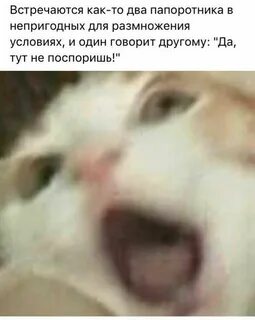 Встретились как то два