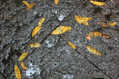 Earth rain