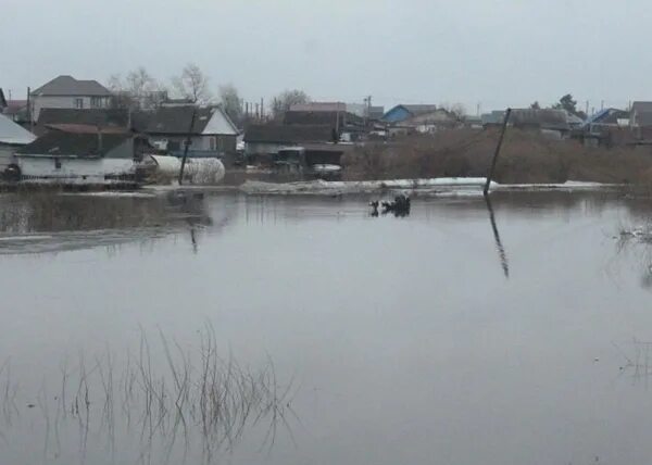 Что происходит в городе ишиме. Ишим 2016 паводок. половодье в городе ишим. паводок ишим. паводок в ишиме на сегодняшний день.
