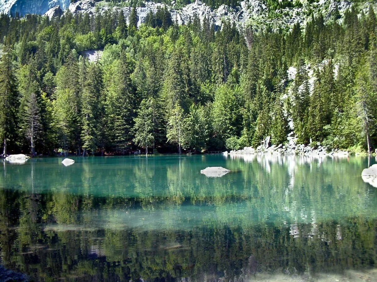 Lac версии. Озеро зеленого цвета. озеро ciad. lac. lac l7.