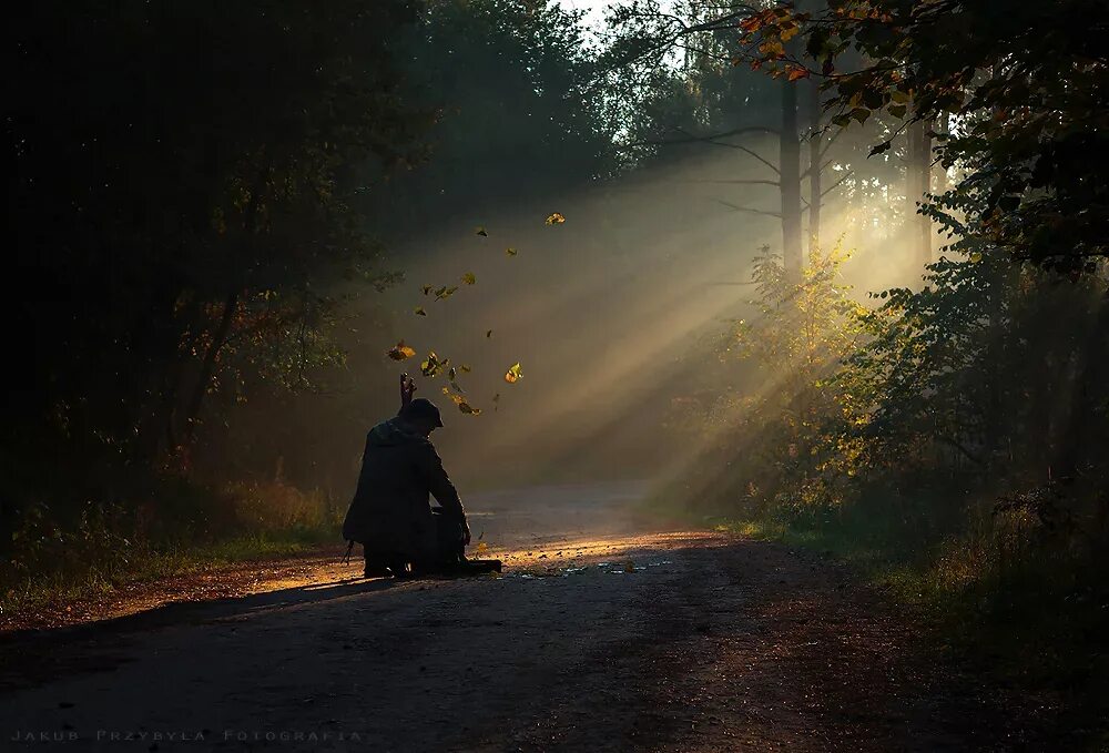 Странник в лесу. Путник монах. Странник на дороге. Одинокий Путник.
