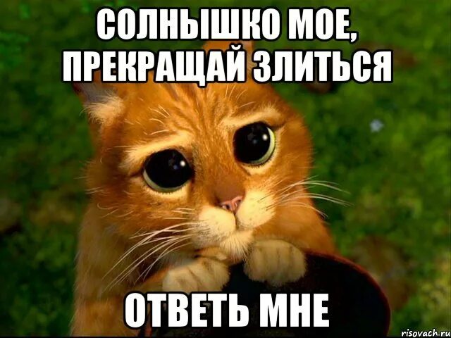 Прости я не хотел тебя обидеть. Ну прости зай. Не обижайся солнышко. Не злись на меня картинки. Не злись на меня я тебя люблю.