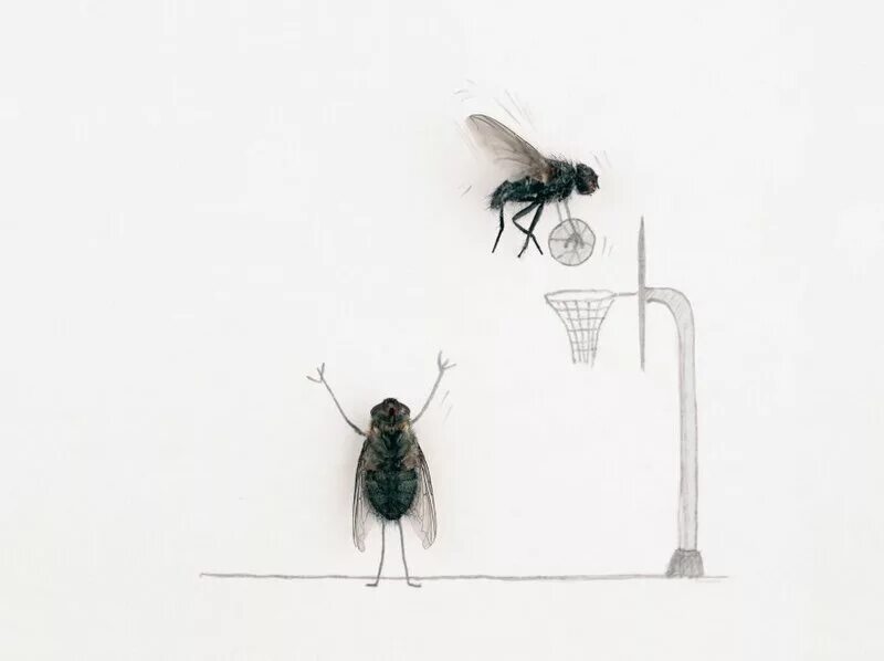 Муха под мухой слушать. Магнус Мур мухи. Magnus Muhr и его мухи.. Муха рисунок. Муха зарисовка