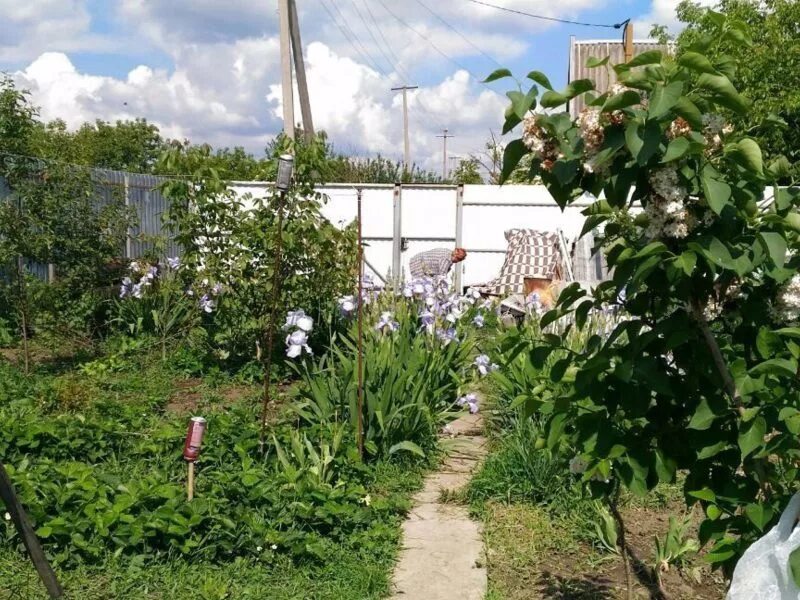 Снт зори кубани 28 улица 931 дом. Невинномысск снт заря. Красногвардеец снт. Садовое товарищество славянска-на-кубани куда обращаться. Дербент садовое товарищество заря.
