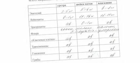 Таблица лейкоцитов в мазке у женщин Разное Страница 674