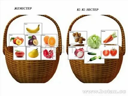 Кері POV жыныстық қатынас