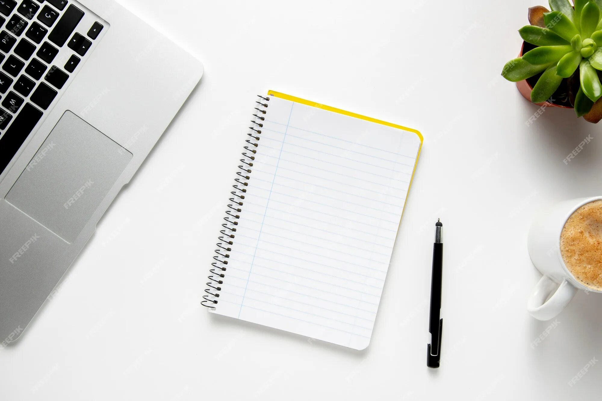 The open notebook