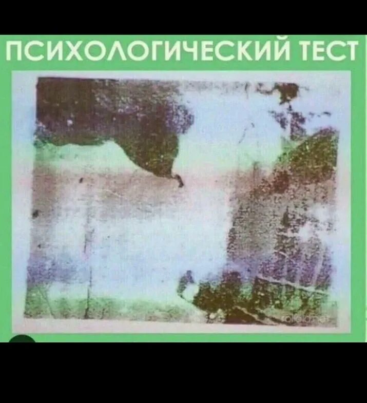 тест на шизофрению вопросы. тесты для больных шизофренией. тест на шизофрению корова картинка. рисунок тест на шизофрению. экспресс тест на шизофрению.