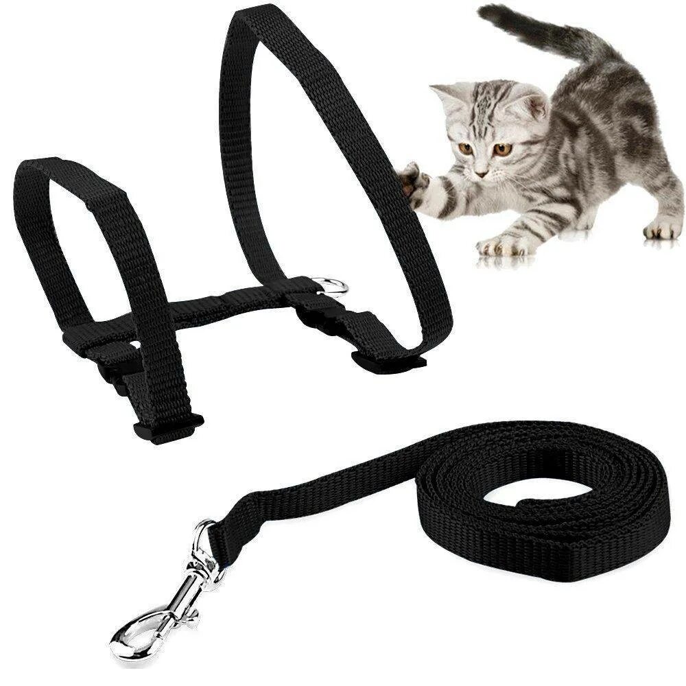 Leash slap