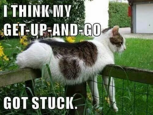 If you get stuck. Get stuck. i get stuck. get in my way meme. don&#039;t get stuck.