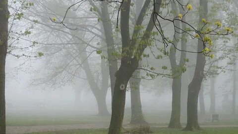 Туман в солнечную погоду