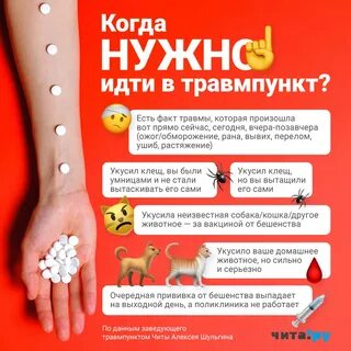 Столбняк после укуса собаки