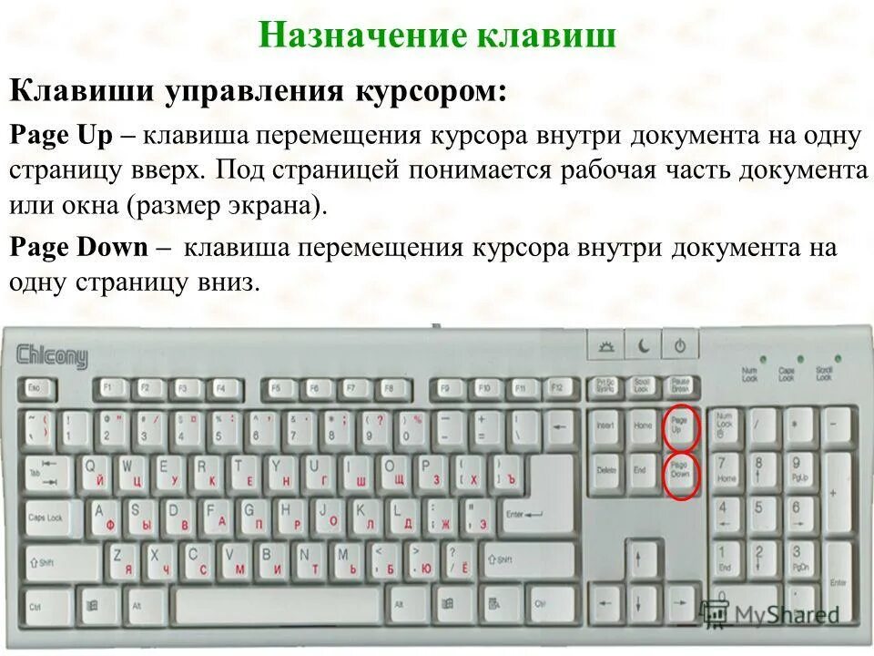 Page up какая клавиша. Page down на клавиатуре. клавиши управления курсором на клавиатуре. назначение клавиш. кнопка page down на клавиатуре.