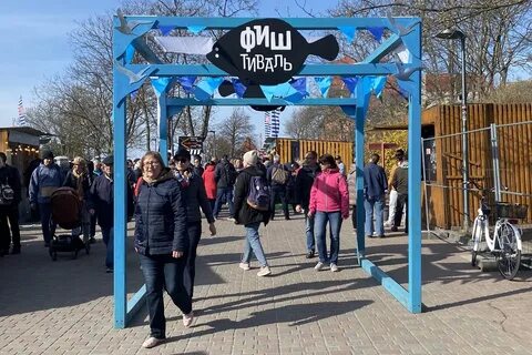 Зеленоградск новости