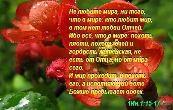 Кто любит мир в том нет. Кто любит мир в том нет любви Божией. Кто любит мир в том нет любви Отчей.