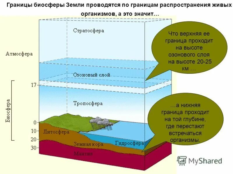 Живые организмы атмосферы. Живые организмы атмосферы. Атмосфера гидросфера тропосфера. Строение земли атмосфера гидросфера литосфера. Границы биосферы схема.
