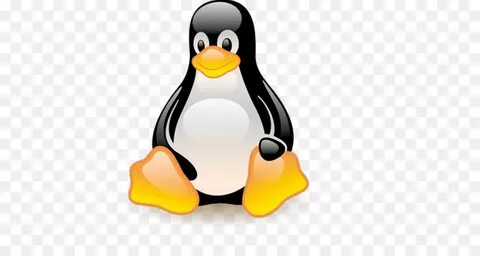 Linux safe