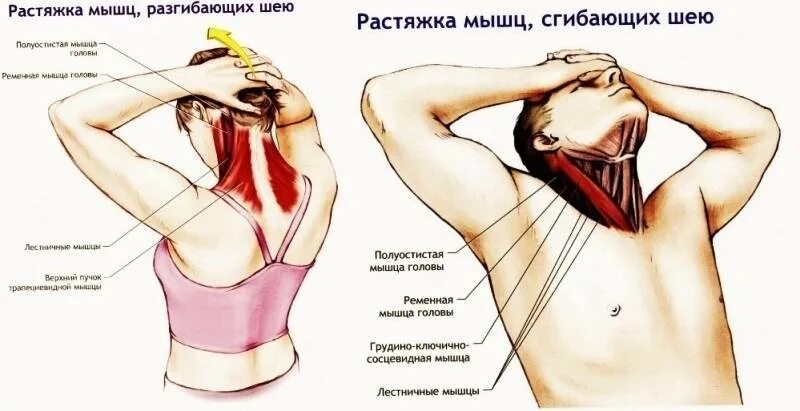 Тянет мышцу в правой