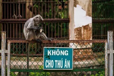 Keep animals in zoos
