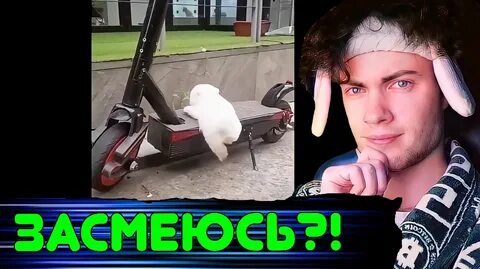 ПРОХОЖУ НЕ ЗАСМЕЙСЯ ЧЕЛЛЕНДЖ Старайся Не Смеяться - Сборник САМЫХ Смешных Ж...