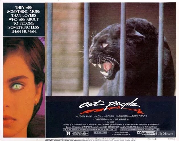 Настасья кински люди кошки. Cat people перевод. Кошачий язык переводчик. Люди-кошки 1982. Are you a dog 🐶 person or a cat 🐱 person?.