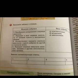 Обществознание заполни таблицу