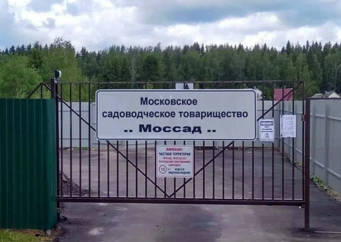 Моссад московский сад. Московское садовое товарищество. Огородническое некоммерческое товарищество. Моссад мем. Садоводческие, огороднические некоммерческие товарищества.
