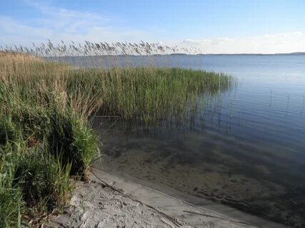 Море болото