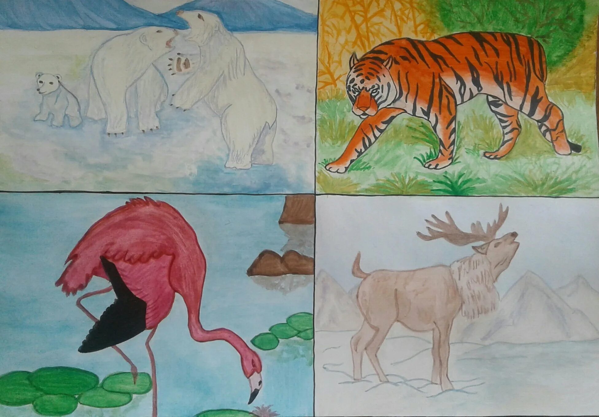 Плакат берегите животных 3 класс рисунок карандашом. Берегите животных. Рисунок на тему берегите животных для срисовки. Берегите животных рисунки карандашом. Рисунок на тему берегите животных карандашом.