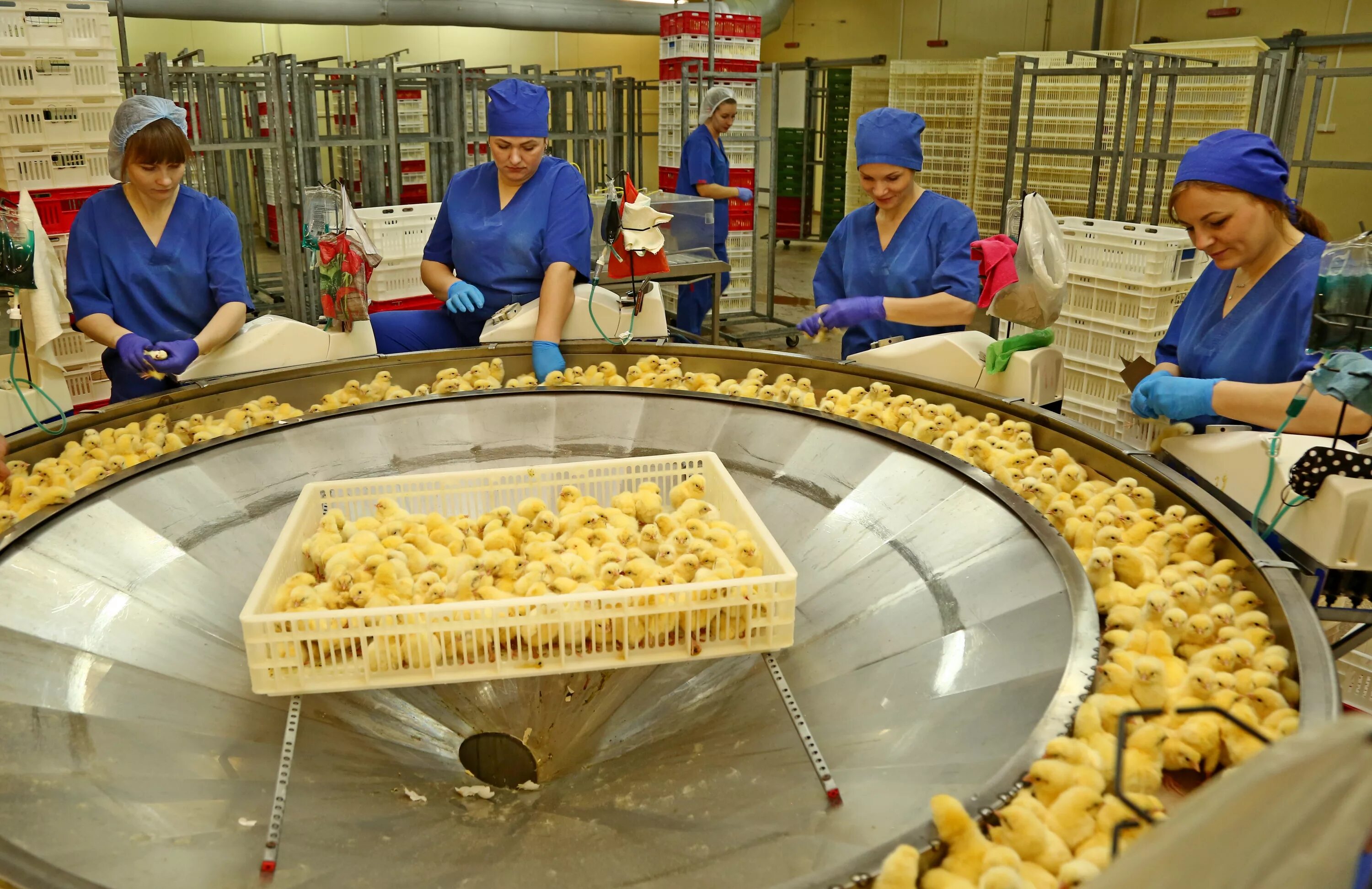 работа в старом осколе от прямых работодателей.