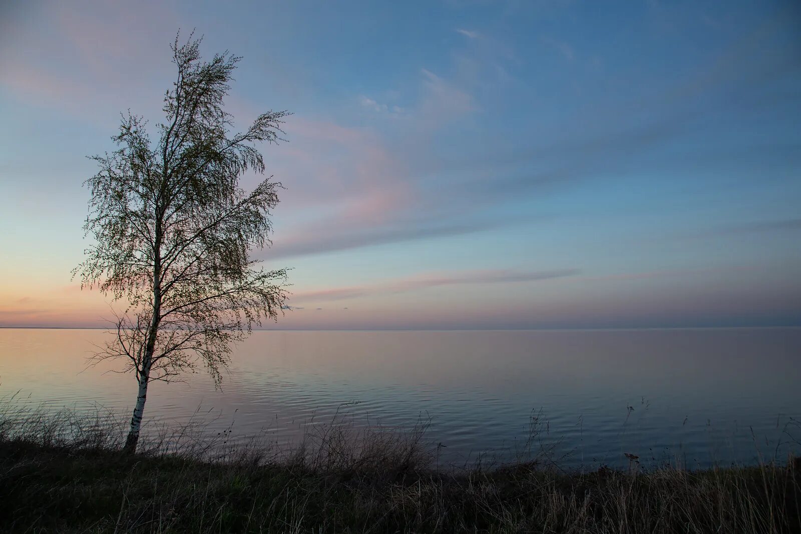 Озеро Ильмень. Озеро Ильмень Великий Новгород. Озеро Ильмень Коростынь. Былинное озеро Ильмень. Название озера ильмень