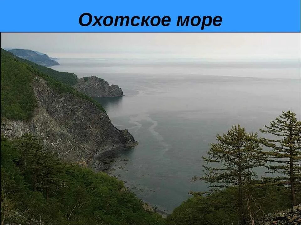 Моря россии доклад. Охотское море. Охотское море Россия. Охотское море информация. Охотское море география.