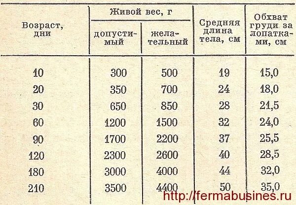 Средние полового размер у мужчин. Средний размер полового члена. Средний размер нутрия. Вес нутрии средний вес. Среднестатистический вес полового члена.