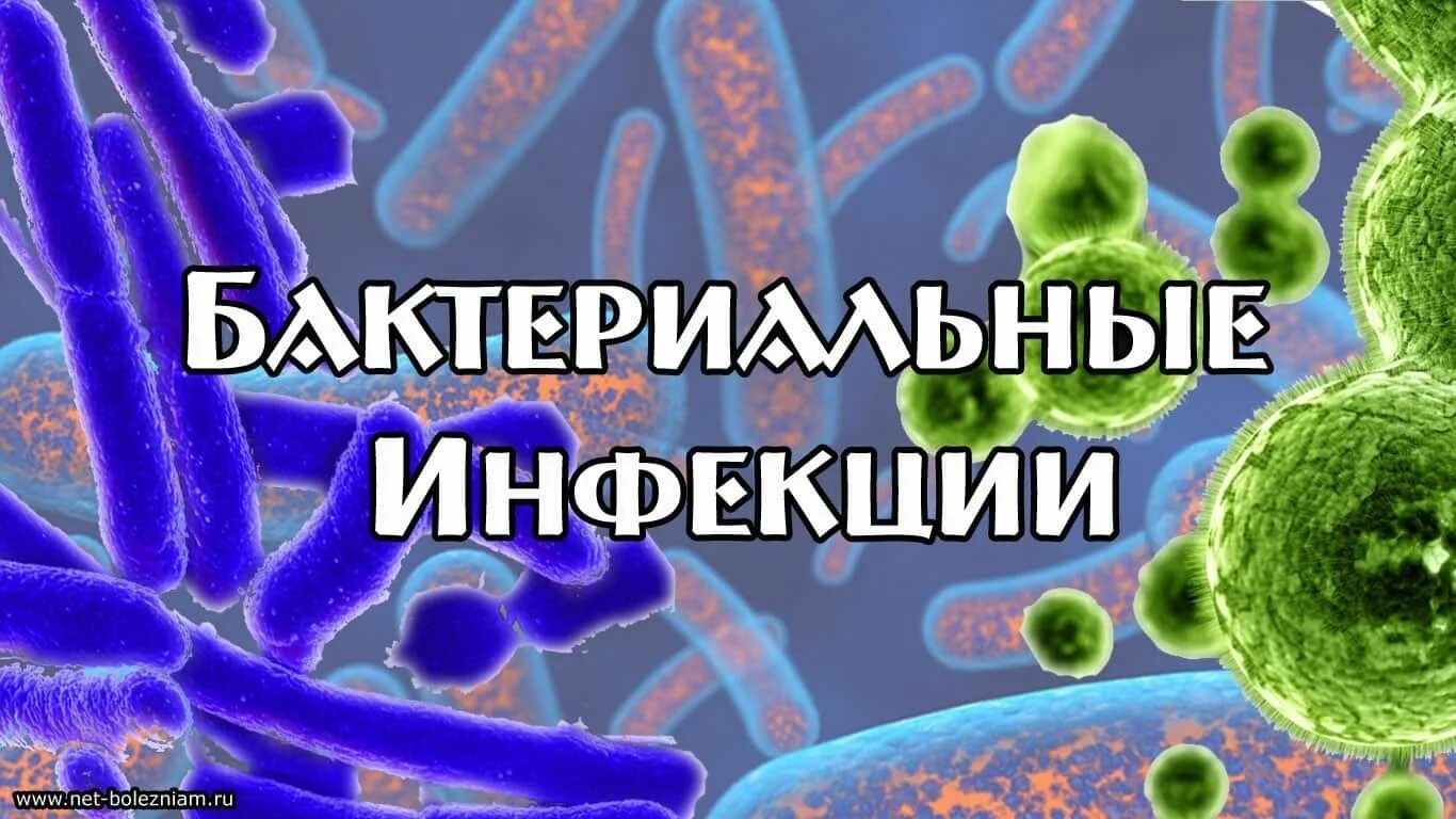 Заболевания вызванные различными бактериями. Бактериальная инфекция. Заболевания бактериальной природы.