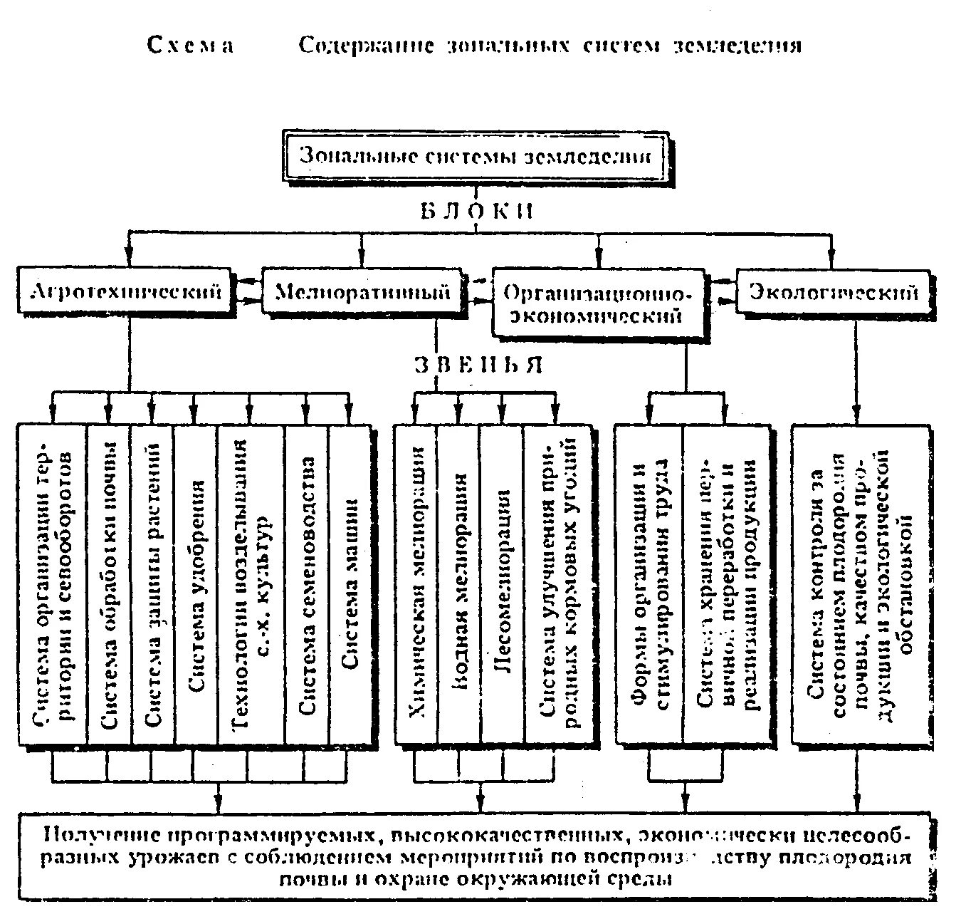 Разработка системы земледелия. Классификация севооборотов схема. схема классификация системы земледелия. зональные системы земледелия. земледелие схема.