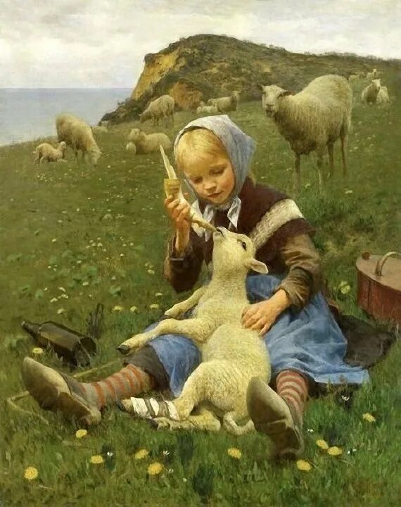 Люди ягнята. Hans ole brasen (1849–1930).. Ганс Оле Брасен художник. Иоганн Баптист Хофнер пастушка 1866.