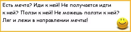 Идешь идти бежишь бежать ползешь ползти. Анекдот про мечту. Есть мечта иди к ней. Шутки про мечты. Если не можешь ползти лежи в направлении цели.