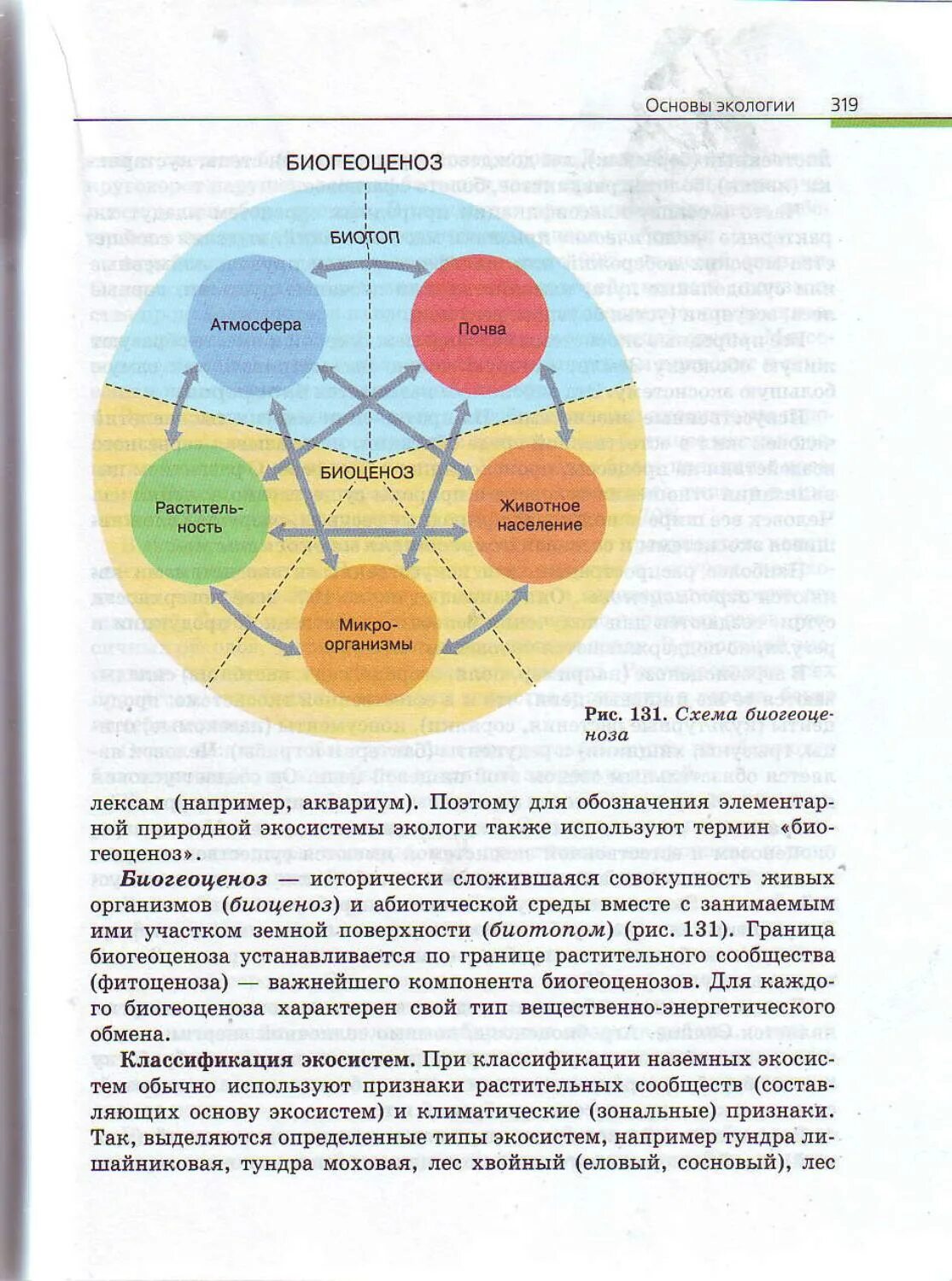 Биология 10-11 класс Каменский а.а., Криксунов е.а., Пасечник в.в... Биология 11 класс Каменский Пасечник общая. Общая биология Каменский 10-11. Биология 10-11 класс учебник.