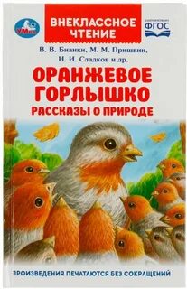 Главная мысль рассказа оранжевое горлышко