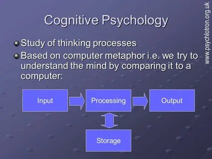 Psychology studies