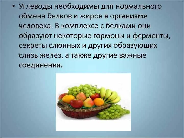 Значение углеводов в питании животных. Значение углеводов в питании животных