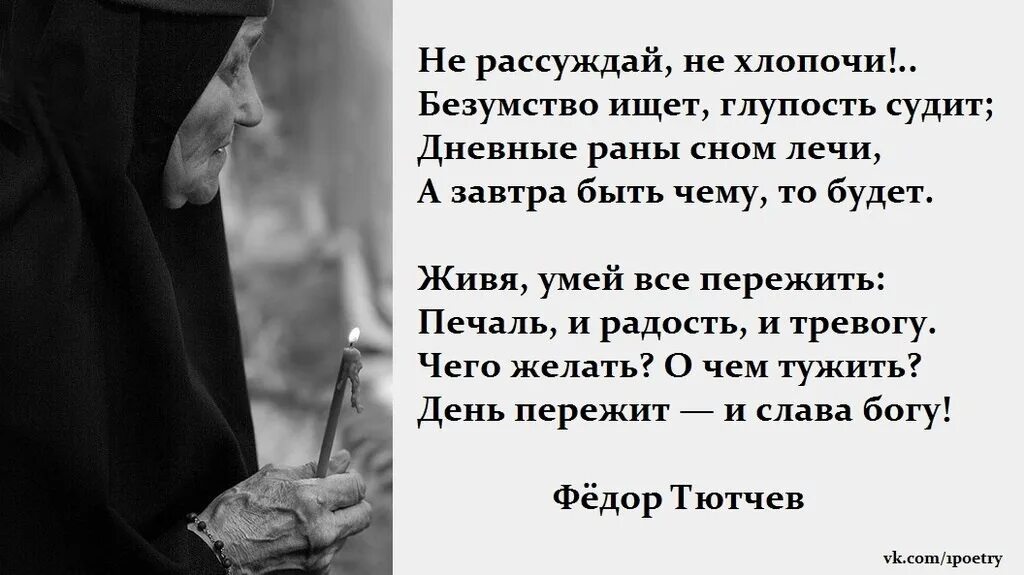 Не хлопочи безумство ищет глупость судит