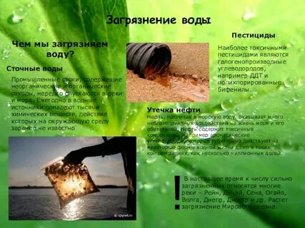 Источники пестицидов