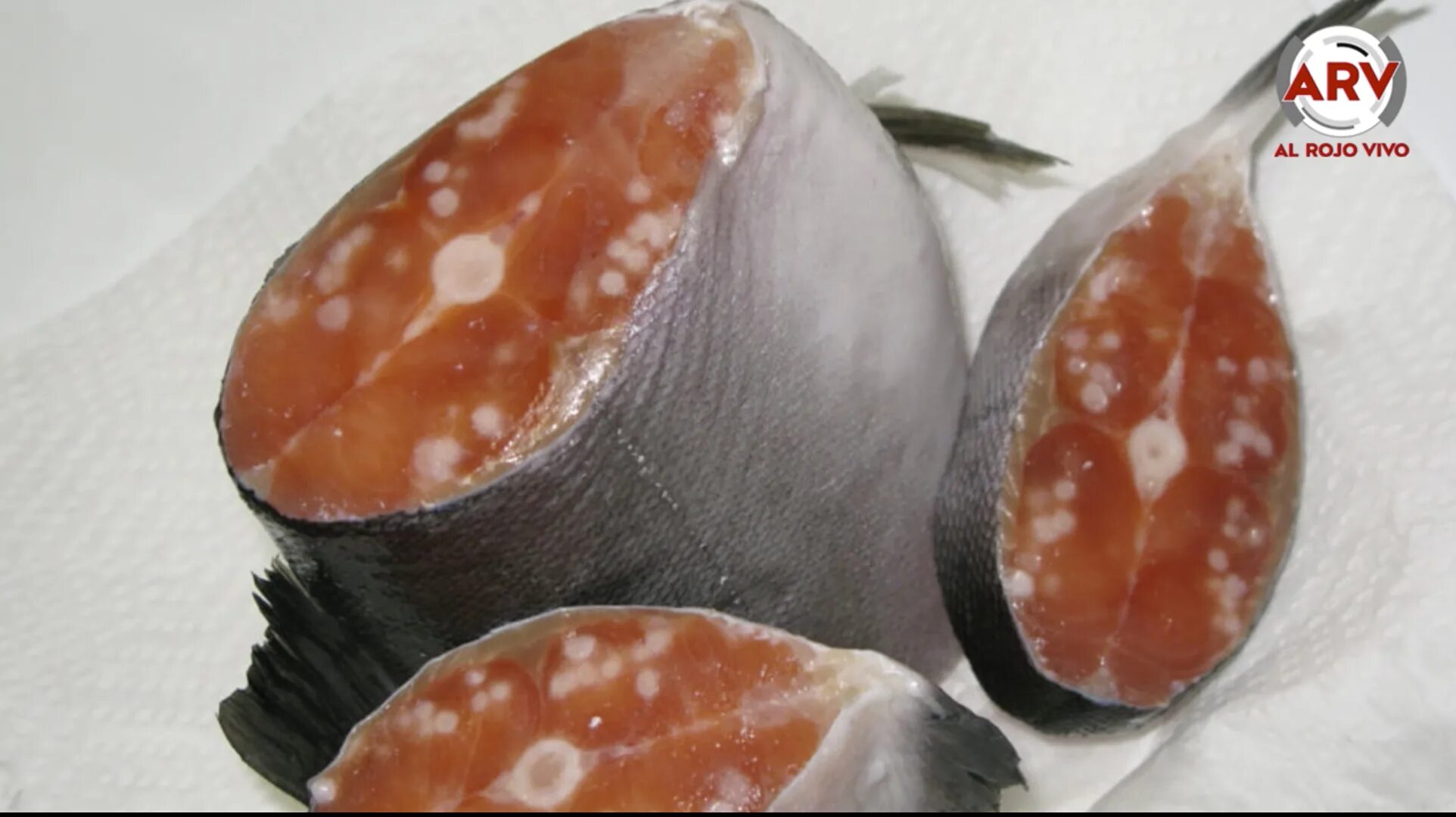 Рыбный Гурман, рыба и морепродукты, ул. 10 лет Октября, 72, Омск - Яндекс Карты