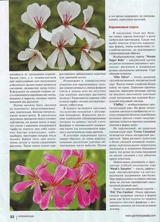 Герань описание листьев