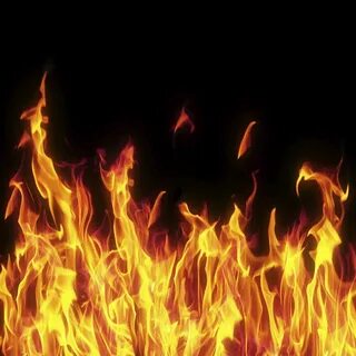 Gold fire