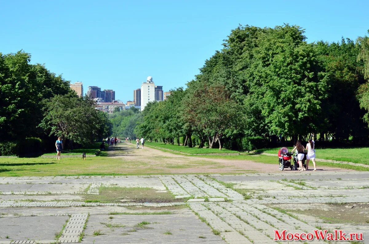 Парк 60 летия октября. Парк 60 летия октября Москва. Нагатинский Затон парк. Парк «имени 60-летия Великого октября» Москва. Парк 60 летия октября Москва Солнцево.