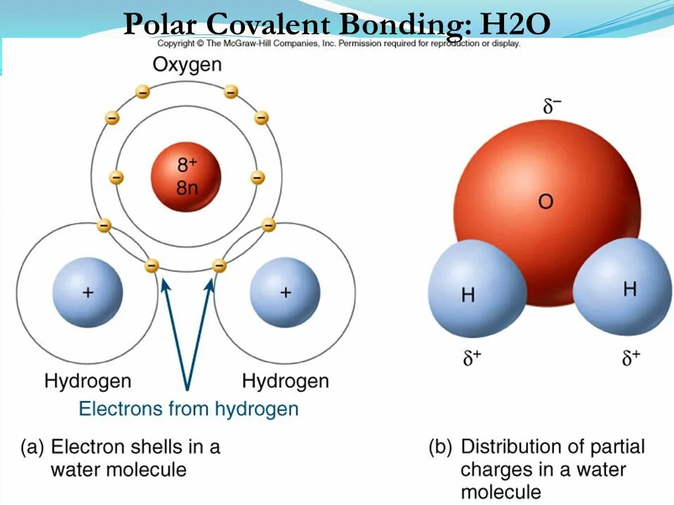 H2 o2 водород