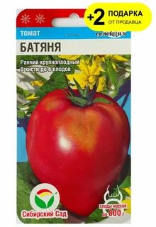 Характеристика томата батяня описание и отзывы
